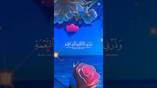 Beautiful recitation by Abdul Rahman Mossad with English translation [upl. by Josephson453]