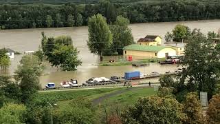 Hochwasser 2024 in Österreich Krems Donau Behördenhafen überflutet Flood in Austria Danube [upl. by Inaluahek]