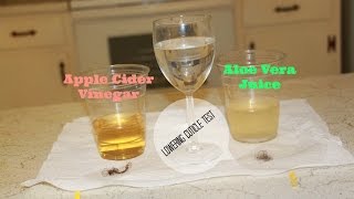 ACV vs Aloe Vera Lowering Cuticles Test [upl. by Illyes224]