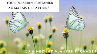 7 plantes de printemps au marais de Lavours [upl. by Vasti]