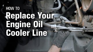 How to Replace Your Engine Oil Cooler Line [upl. by Graner]