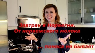 Завтрак в Норвегии От норвежского молока  поноса не бывает [upl. by Idaline388]