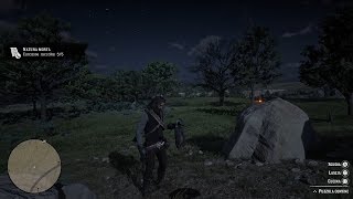 Red Dead Redemption 2  Perfect Skunk carcass [upl. by Idnahc]