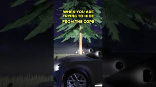 WHEN YOU ARE TRYING TO HIDE FROM THE COPS IN ROBLOX ERLC [upl. by Eirojram]