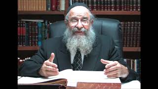 Zichronos Of The Rebbe By Rav Leibel Shapiro 1 [upl. by Anawad]