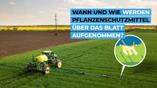 Wann und wie werden Pflanzenschutzmittel über das Blatt aufgenommen [upl. by Melmon987]