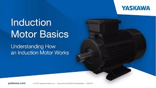 Motor Basics [upl. by Trever626]