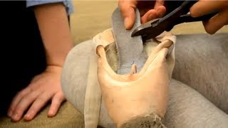 Pointe Shoe Tip  How to 34 Shank Your Shoes [upl. by Cyrano]