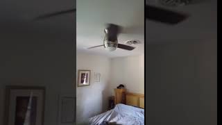 Review Westinghouse Halley 44 in Indoor Brushed Nickel Ceiling Fan with Remote Control [upl. by Nawyt]