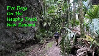 Heaphy Track NZ Takahe [upl. by Shaper]