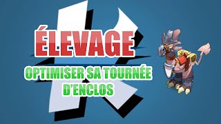 Dofus Élevage  Optimiser sa tournée des enclos [upl. by Fredie]