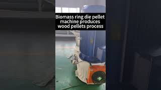 Biomass ring die pellet machine produces wood pellets process [upl. by Adlesirhc507]