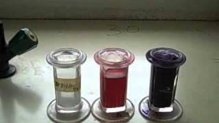 Microscopic Staining for Blood Parasites  MultiLingual Captions [upl. by Hpsoj711]