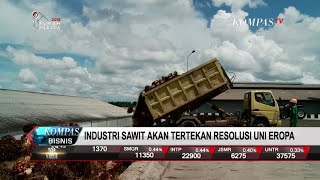 Industri Sawit akan Tertekan Resolusi Uni Eropa [upl. by Ardnuassak]