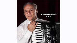 SLAVKO MITROVIĆ CALE  Pleteno oro  III Medj fest  “ACCORDION PLUS”  Rostov na Donu [upl. by Meit657]