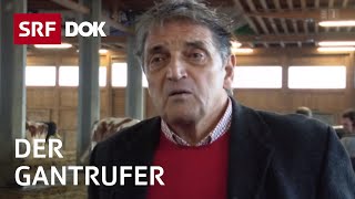 Alois Wyss – der ProfiGantrufer  Landwirtschaftliche Steigerung  Reportage  SRF [upl. by Emilio]