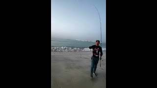 Catch amp release fishing  SanaAll Angler🎣  Salalah Oman [upl. by Esina634]