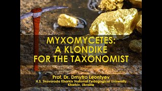 Myxomycetes a Klondike for the taxonomist [upl. by Asirrak]