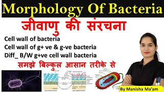 Morphology of Bacteria in hindi  Bacterial Structure  Bacteriology  Microbiology lecture [upl. by Pauly53]