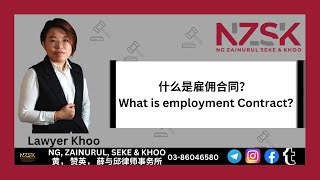 什么是雇佣合同？ What is employment Contract [upl. by Hildegarde]