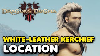 Dragons Dogma 2  White Leather Kerchief Location Head Armor [upl. by Jervis]