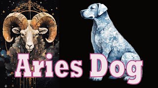 Aries Dog Discussion [upl. by Eelrak51]