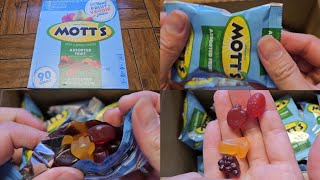 Costco Sale Item Review Motts Assorted Fruit Snacks Taste Test [upl. by Anitan]