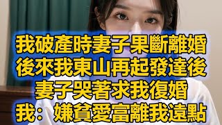 我破產時妻子果斷離婚，後來我東山再起發達後，妻子哭著求我復婚，我：嫌貧愛富離我遠點 [upl. by Adnoel]