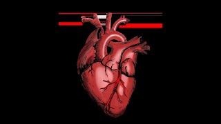 FRANK STARLING MECHANISM EXPLAINED INCREASED EJECTION FRACTION EXPLAINED [upl. by Sadella362]