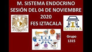 M Sistema Endocrino Sesión del Miércoles 04 de Noviembre del 2020 [upl. by Darian]