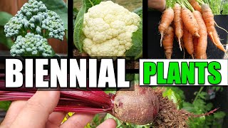 What Is A Biennial Plant  Garden Quickie Episode 33 [upl. by Elvis964]