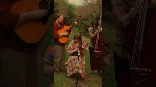 Our HouseCrosby Stills Nash and Young…full version will be available on May 3rd on our channel [upl. by Neddra]