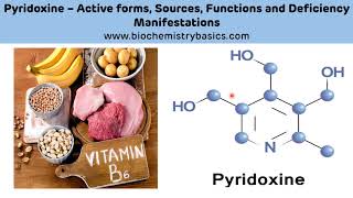 Pyridoxine Biochemistry  Vitamin B6 Biochemistry  Pyridoxal Phosphate PLP [upl. by Allwein]