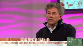 Pihenéssel védhető legjobban az immunrendszer  20141201  tv2humokka [upl. by Eiryk]