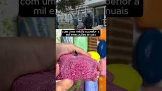 As penas ao redor do mundo infojapa curiosidades viralvideo vídeosatisfatorio shorts [upl. by Airat261]