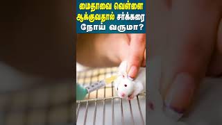 மைதாவை வெள்ளை ஆக்குவதால் சர்க்கரை நோய் வருமா  Does bleaching maida cause diabetes  Dr Arunkumar [upl. by Assenar]