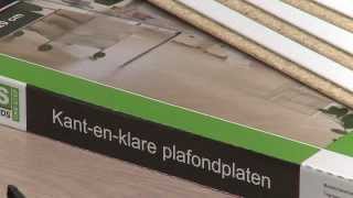 Plafondplaten Agnes OneStep [upl. by Aneroc]