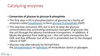 Entner Doudoroff Pathway Part 1 [upl. by Helge]