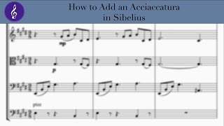 How to Add an Acciaccatura in Sibelius [upl. by Frazer]