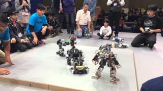 Korea International Robot Contest 2014  Rumble [upl. by Yreva]