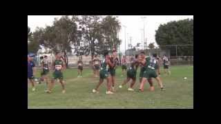 3 Man Tackle Rugby League [upl. by Llechtim]