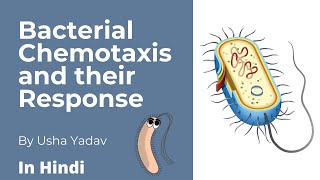 Bacterial Chemotaxis and their Responses  Microbiologyseries CSIR [upl. by Enaoj]