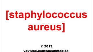 Pronounce Staphylococcus Aureus  SpeakMedical [upl. by Arze]