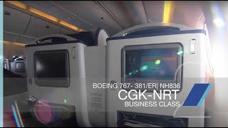 Boeing 767300 American Airlines  Cabin crew announcement [upl. by Milewski]