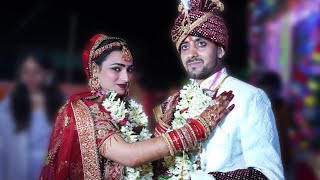 highlights  Avinash amp Priya  wedding highlights [upl. by Holihs464]