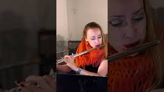 Gariboldi  Op 132 No 8 flute atlanta etude [upl. by Sumer555]