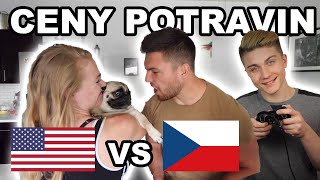 USA vs ČR Srovnání cen potravin s Datlem [upl. by Ydneh]