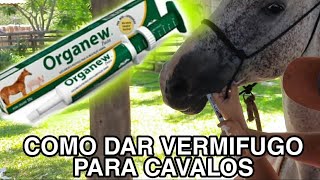 COMO DAR O VERMÍFUGO PARA CAVALOS [upl. by Iram273]