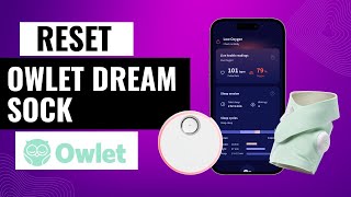 How To Easily Reset Owlet Dream Sock  StepbyStep Guide [upl. by Acinomal]