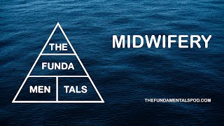 Midwifery  The Fundamentals [upl. by Ruford]